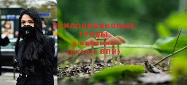 винт Бугульма